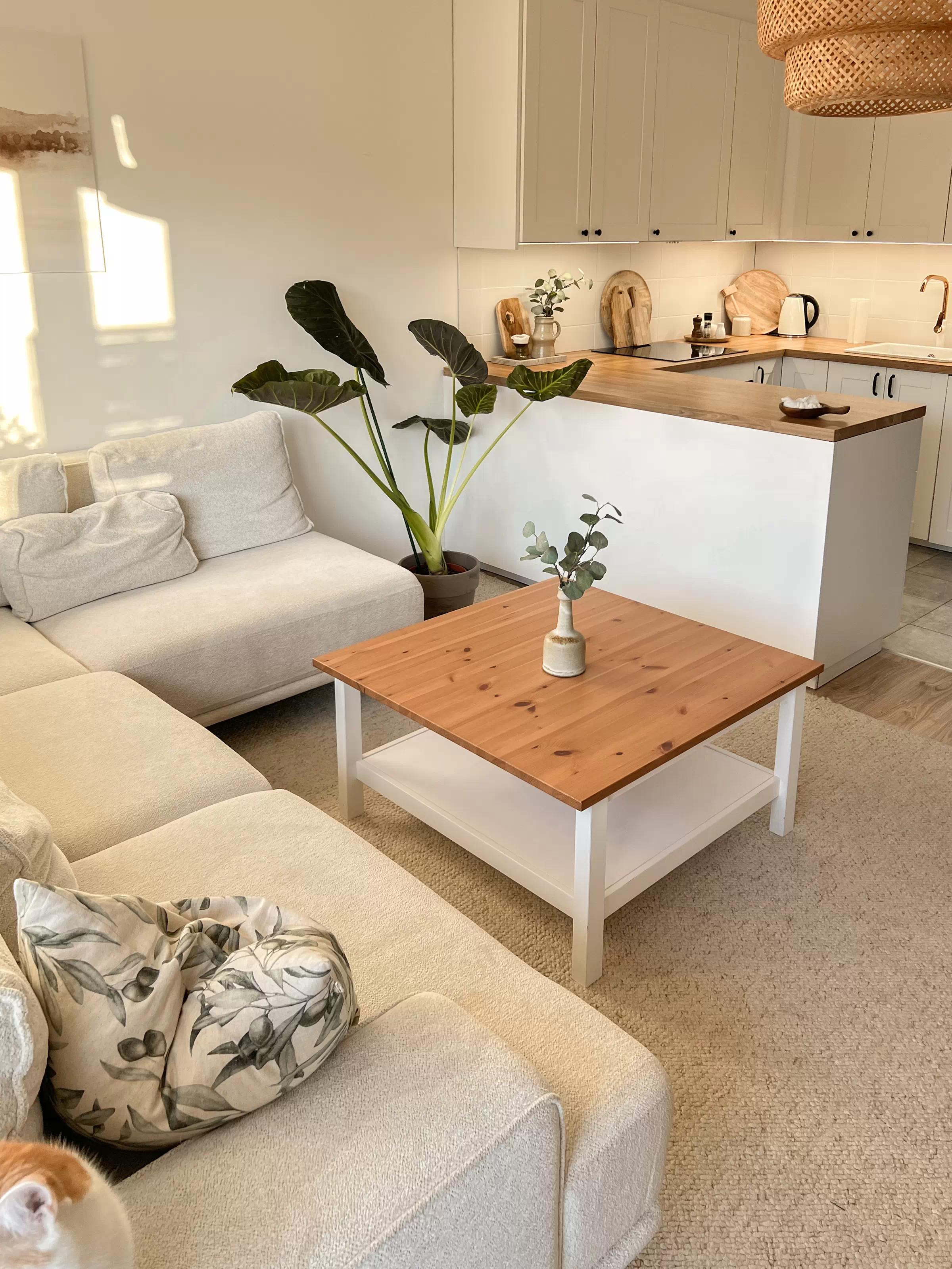 Client Image 775